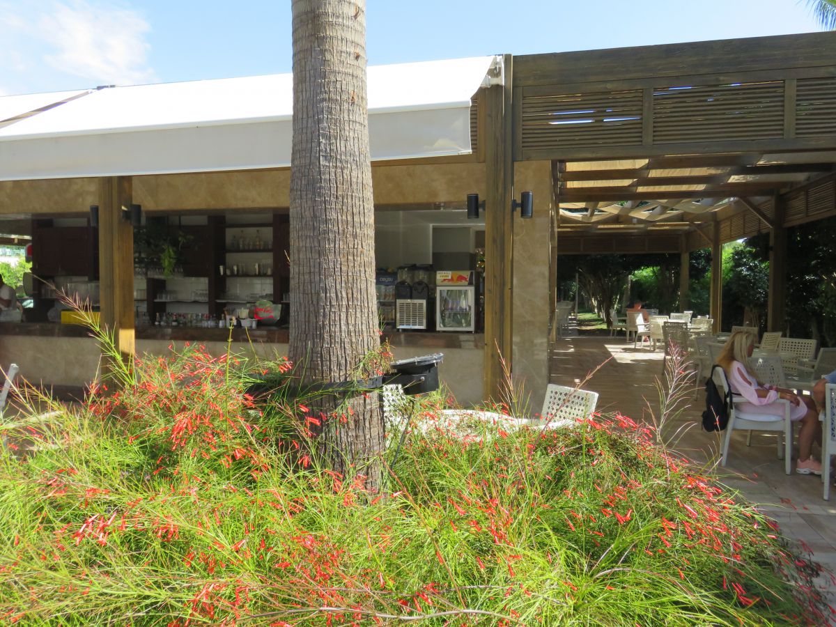 imagini hotel Sentido Trendy Verbena